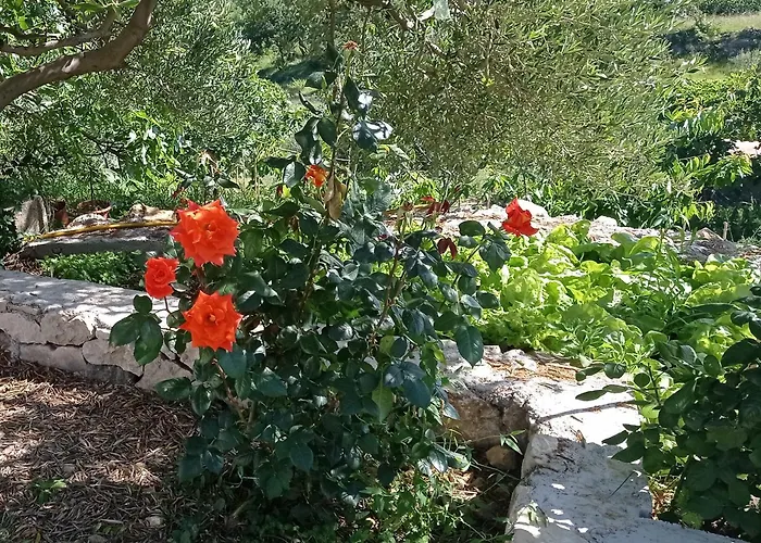 شقة Tina 2 Ražanac