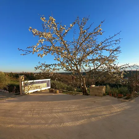 Apartman Tina 2 Ražanac