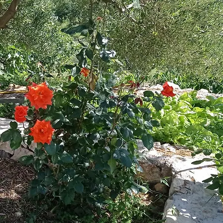 Apartman Tina 2 Ražanac